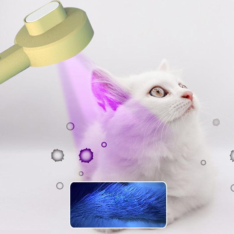 White cat being bathed with a shower head, water droplets visible.