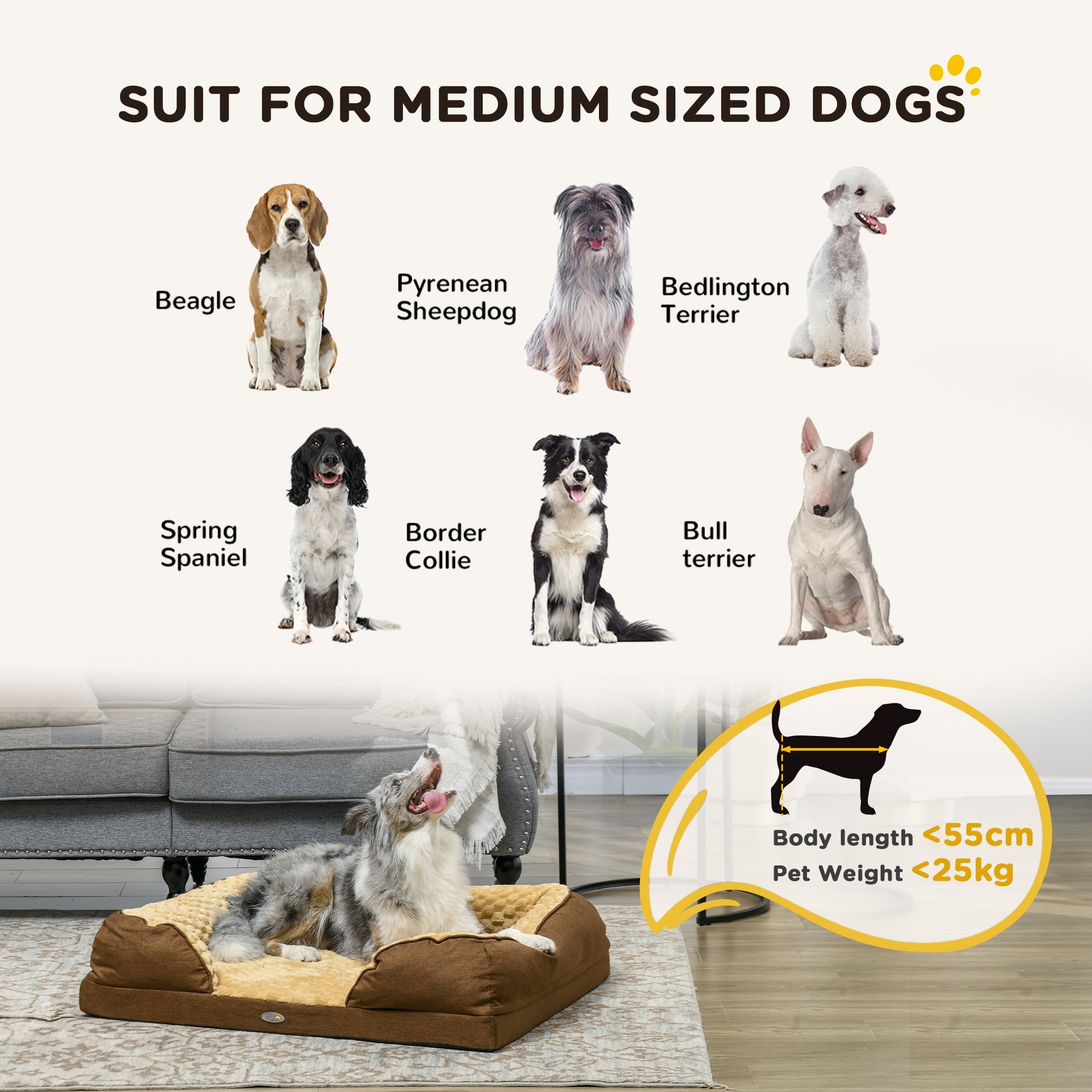 Dog bed suitable for medium-sized dogs with images of various breeds and size guide.