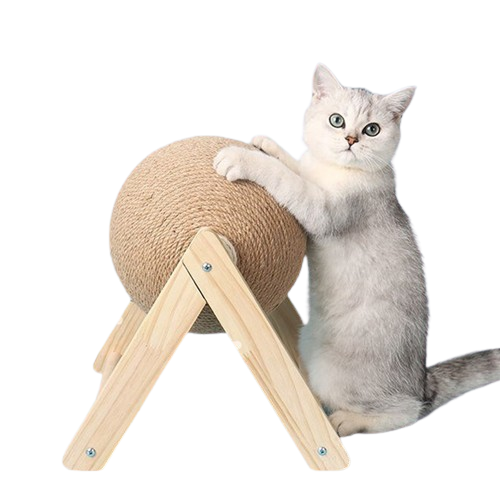 Cat playing with a beige ball on a wooden stand against a white background