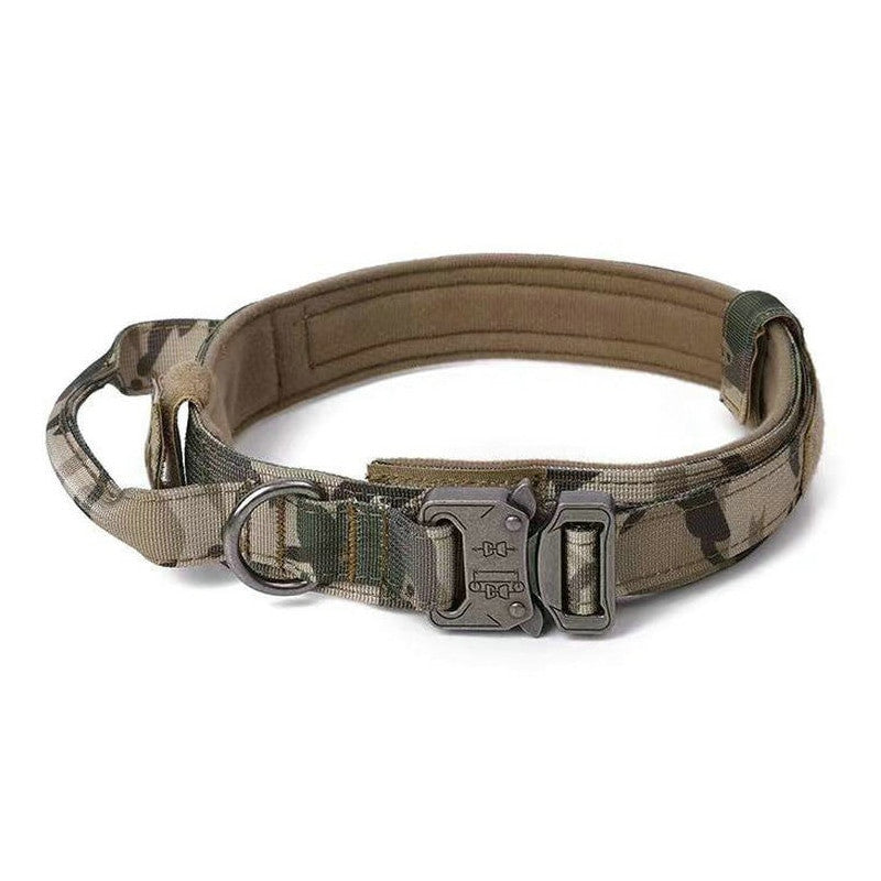 Camouflage dog collar with a metal buckle on a white background