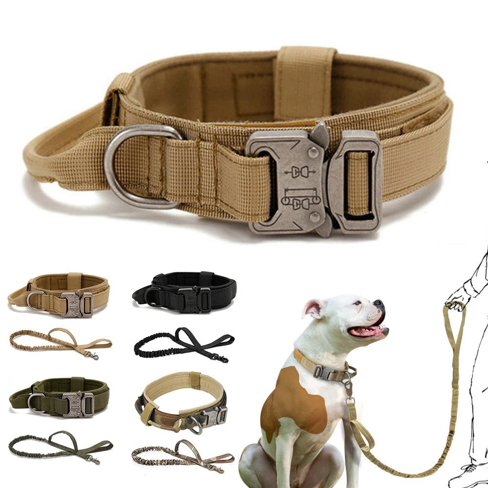Collection of dog collars and leashes with a dog wearing a collar on a white background