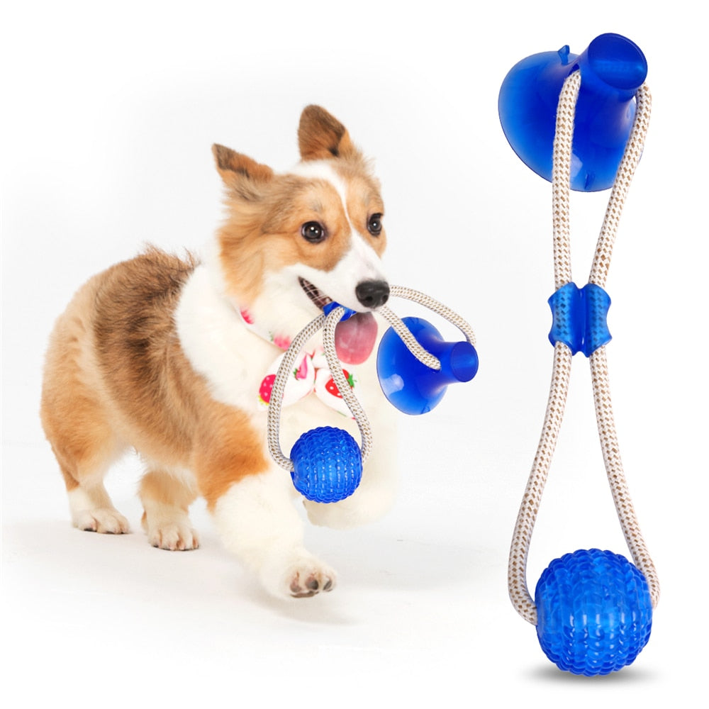 Dog playing with a blue and silver rope toy on a white background