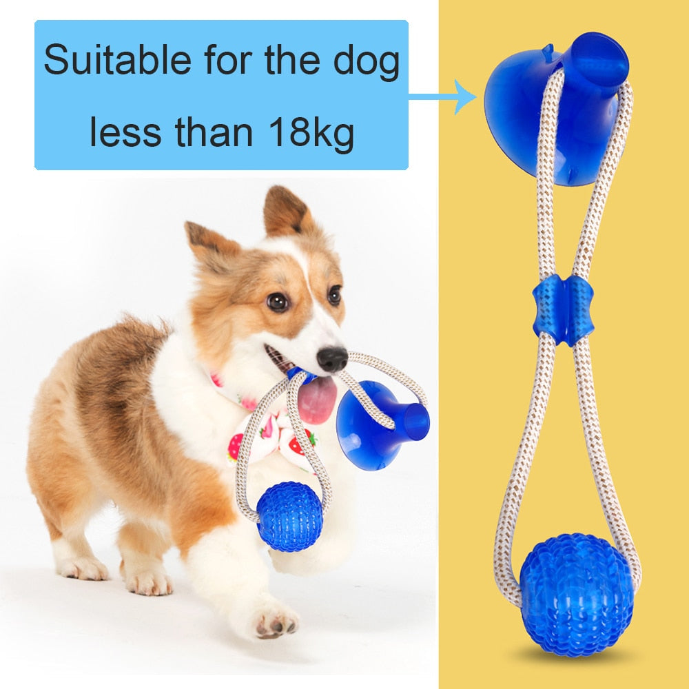 Dog playing with a blue and white rope toy, suitable for dogs less than 18kg.