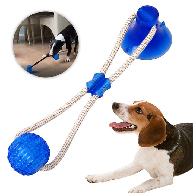 Dog toy with blue balls and rope, featuring a dog playing with it.