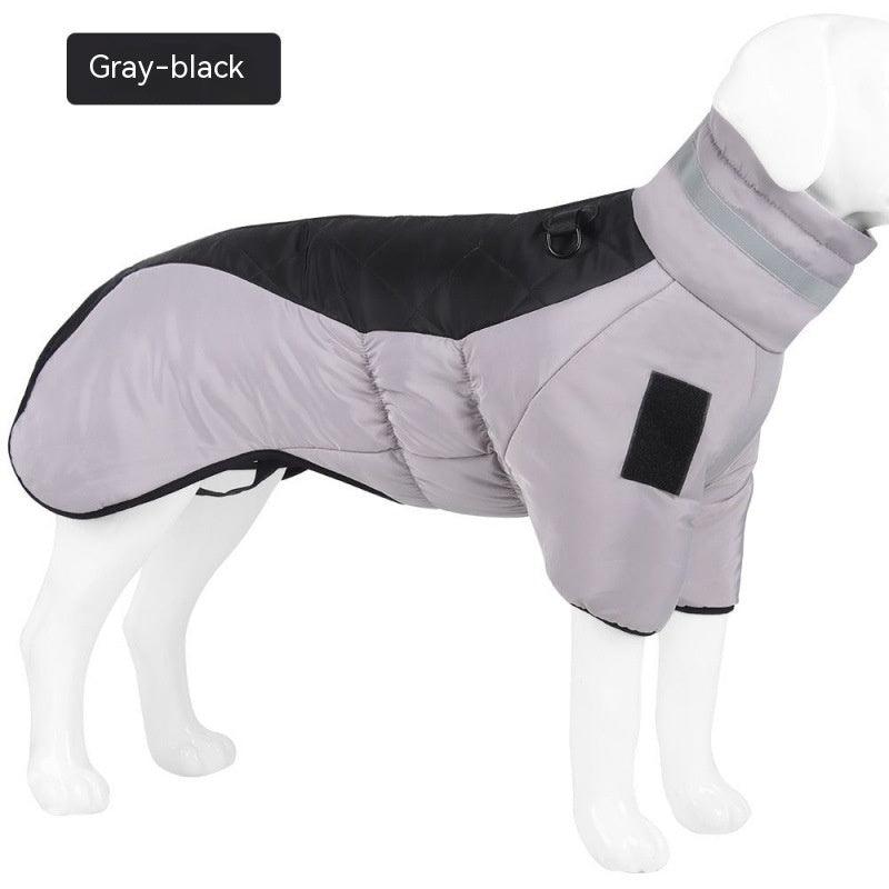 Dog wearing a gray-black winter coat on a white background
