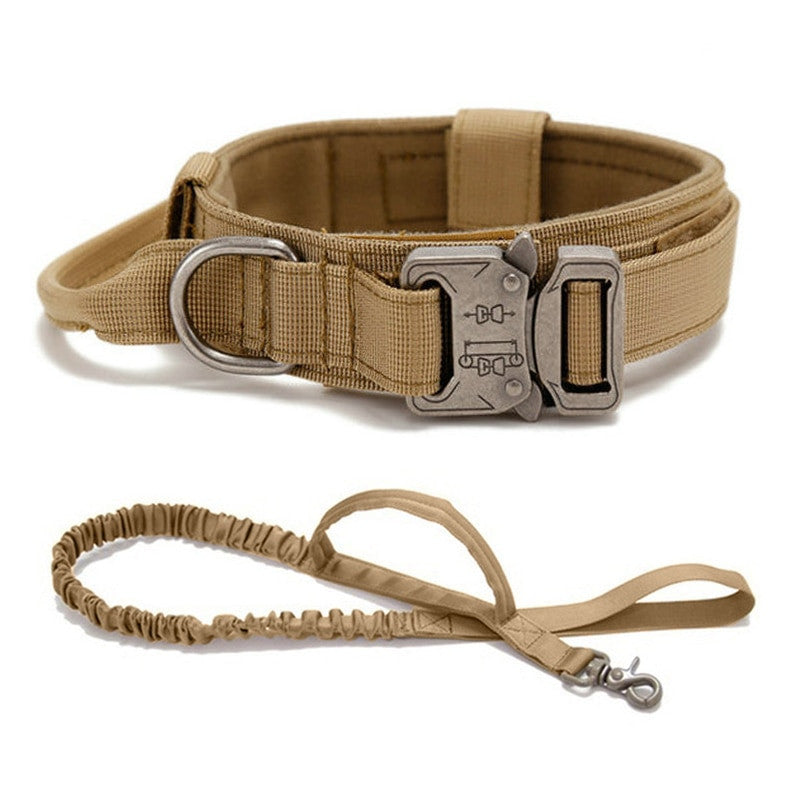 Tan dog collar and leash set on a white background