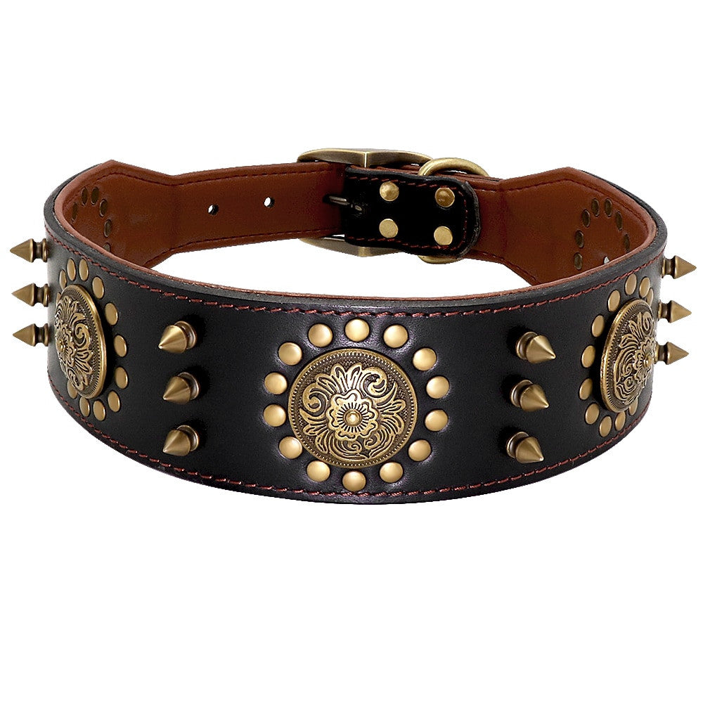 Brown leather dog collar with gold studs and spikes on a white background