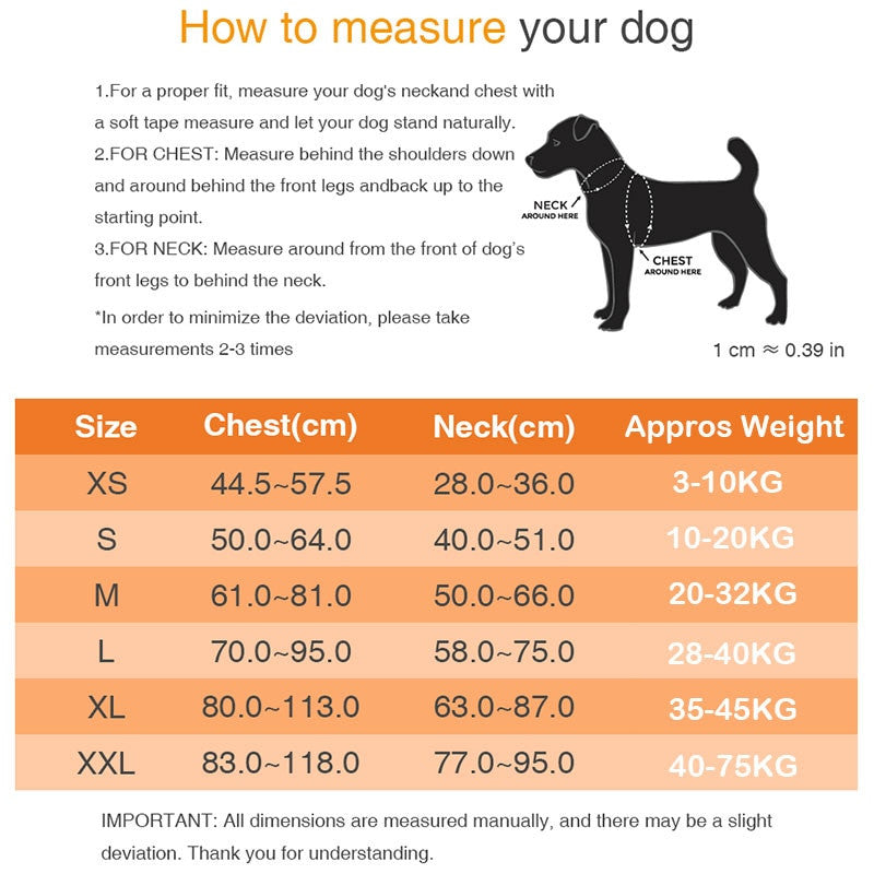 Measurement chart for dogs with instructions and size chart on a white background