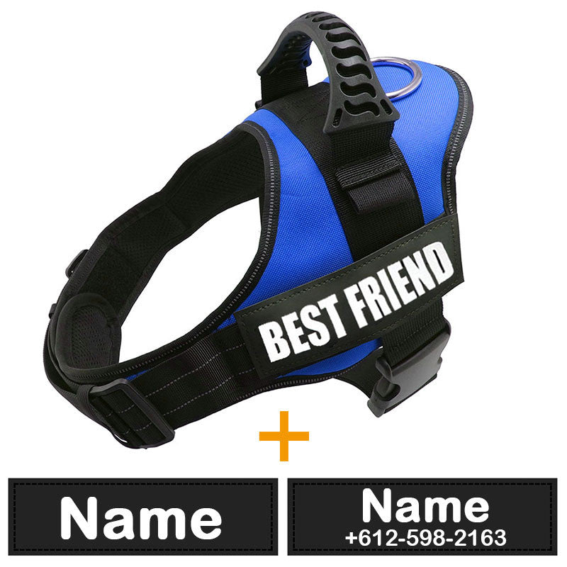 Blue dog harness with 'BEST FRIEND' text on a white background