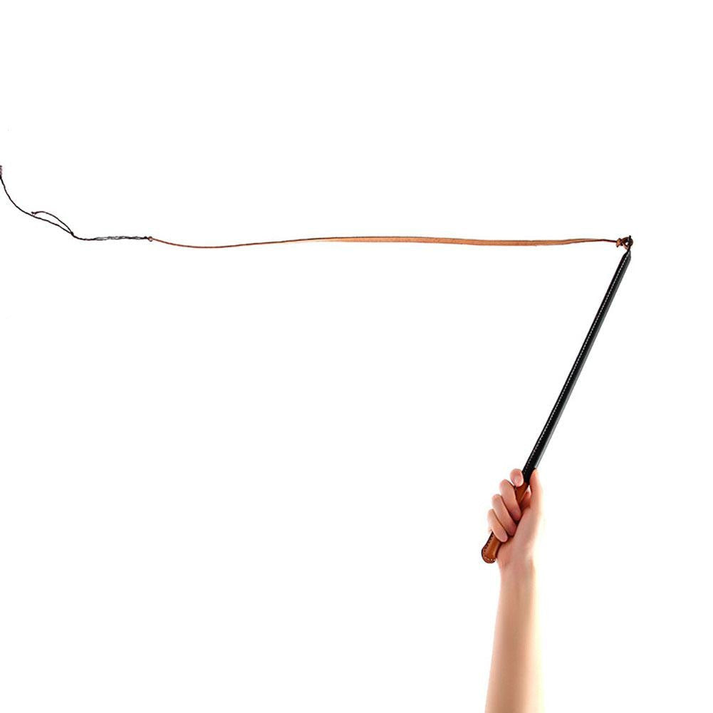 Hand holding a black Extendable Rod with a brown wire on a white background