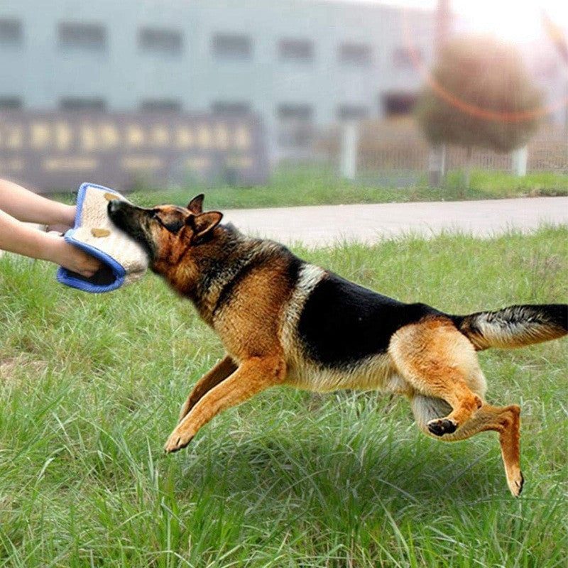 German Shepherd dog leaping to catch a frisbee in a grassy area.