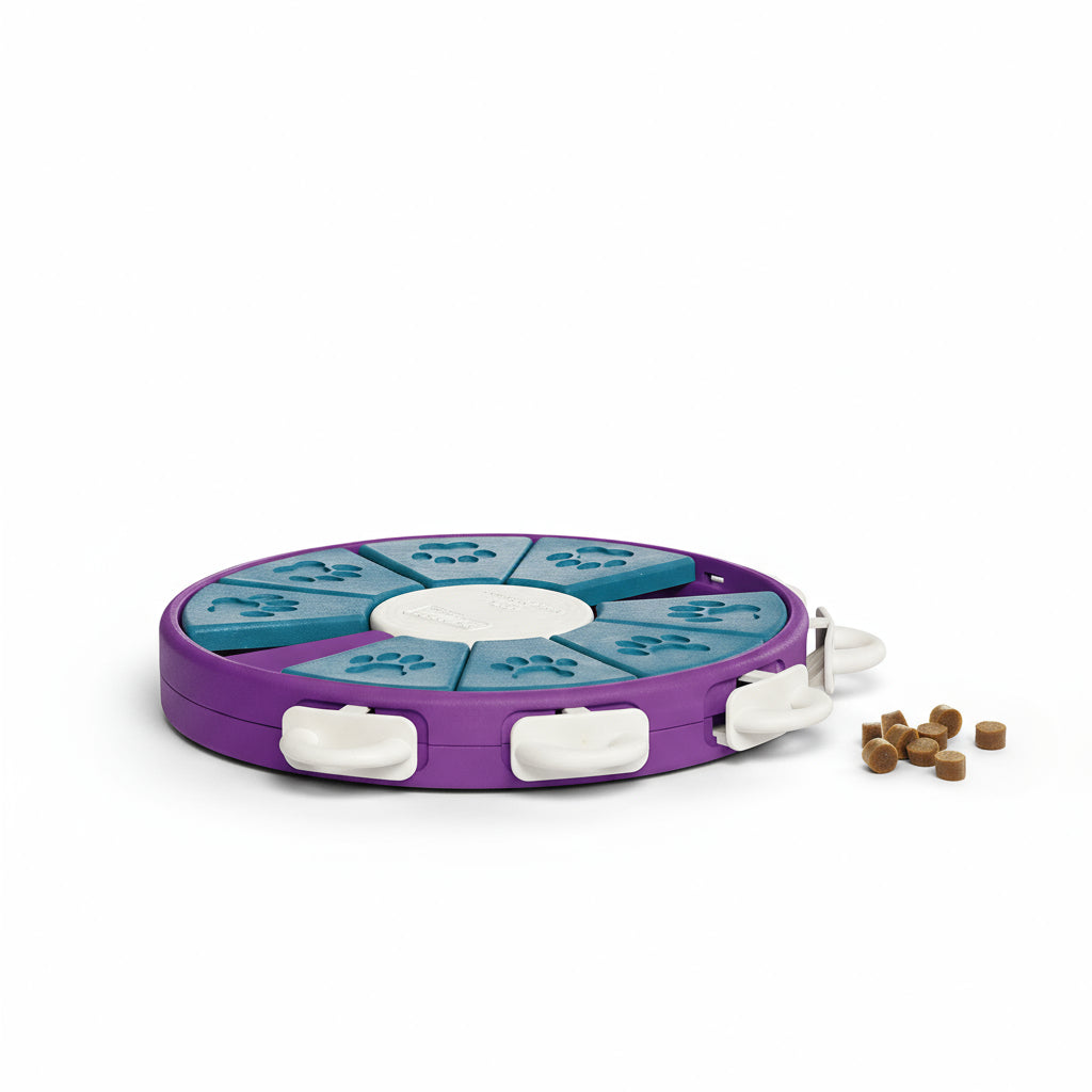 Dog interacting with a purple and blue puzzle toy on a wooden floor.