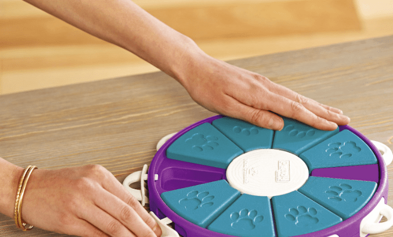 Person interacting with a colorful circular device on a wooden surface