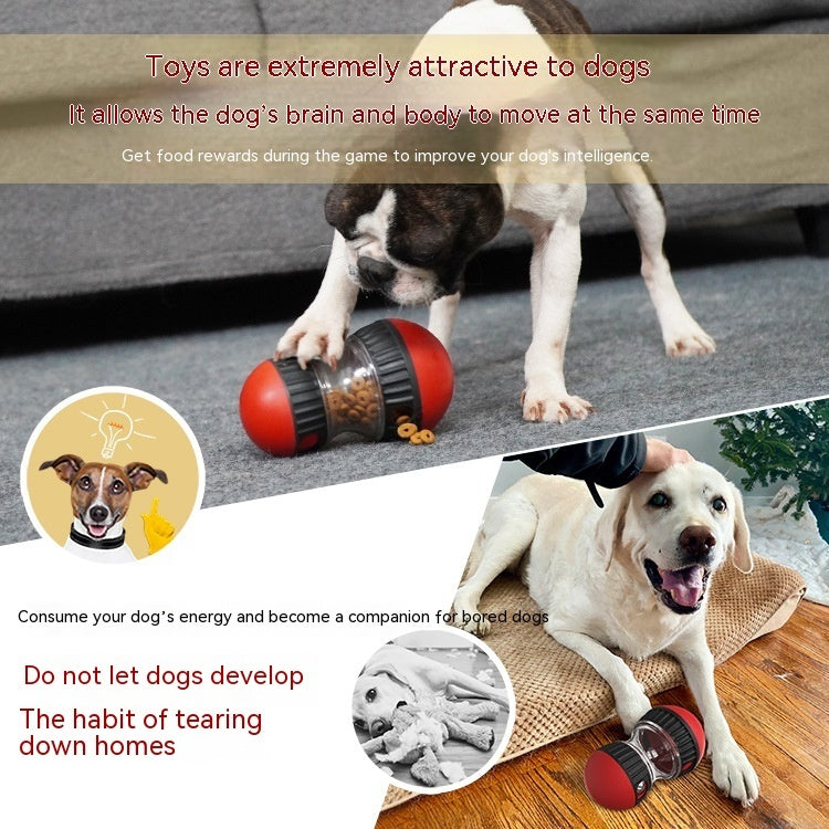 Dog playing with a toy, text about dog toys, and a dog lying on a cushion.
