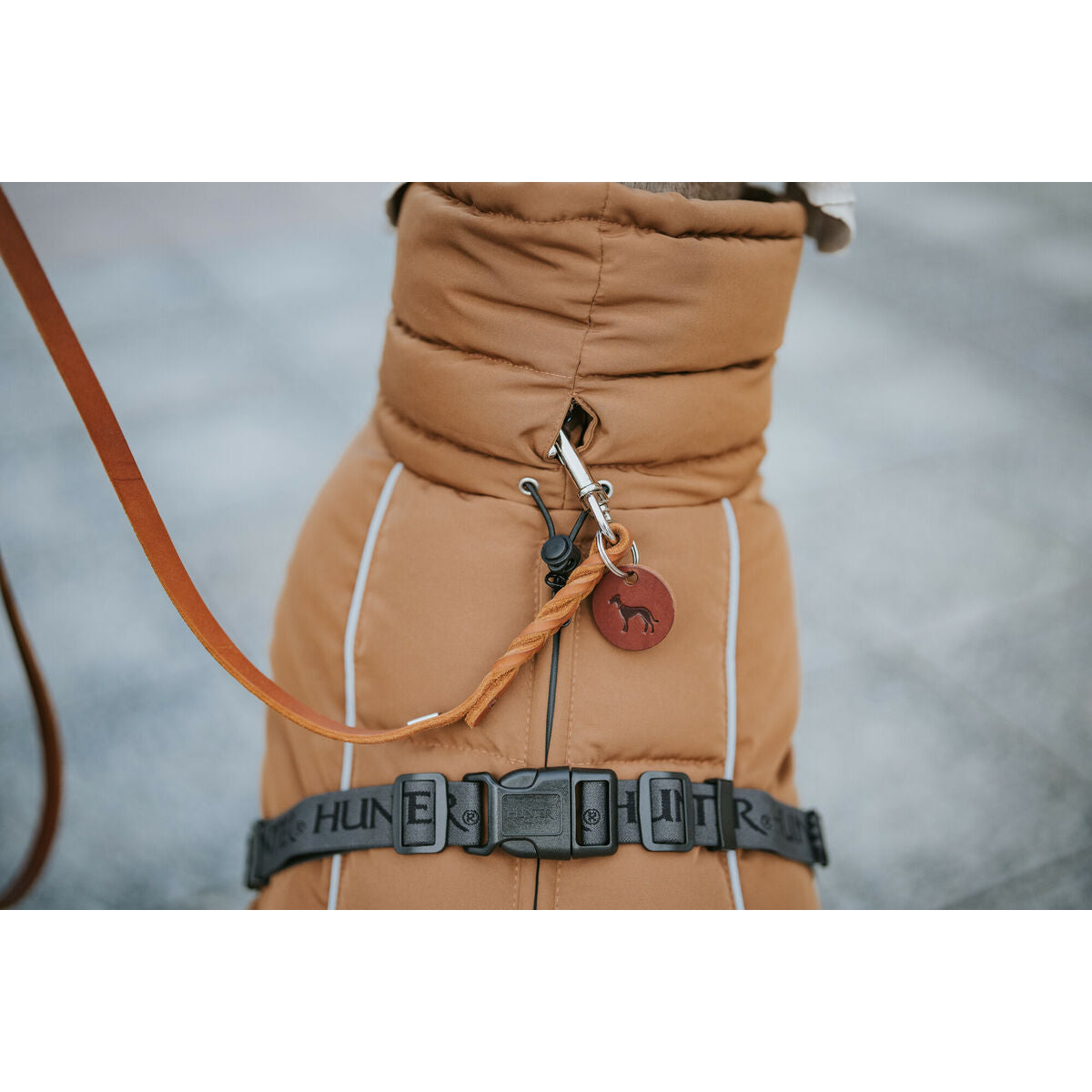 Person wearing a tan coat with a dog leash and collar, standing against a blurred background.