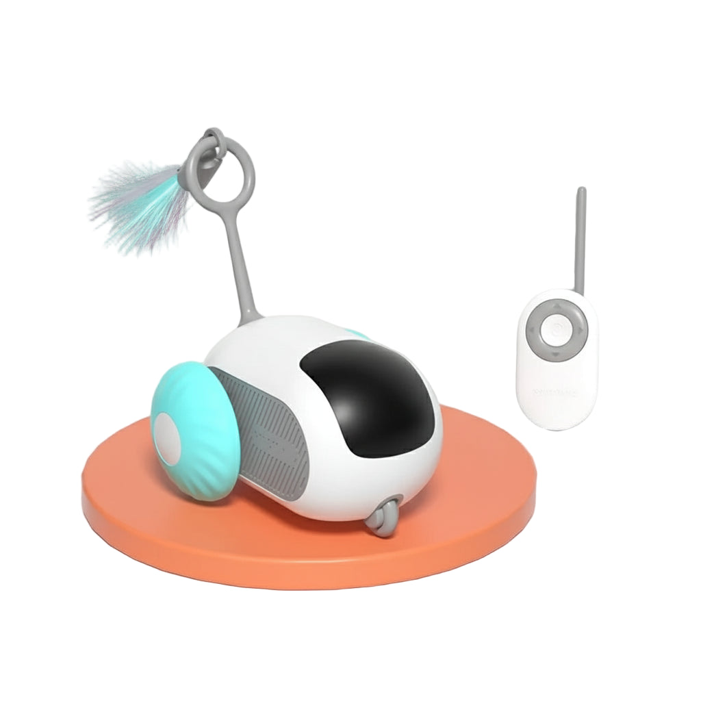 Pet toy with remote control on a blue background