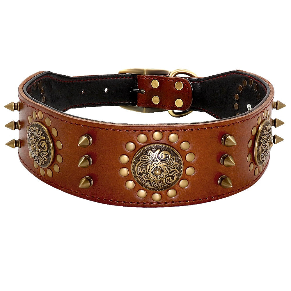 Brown leather dog collar with gold studs and decorative plates on a white background