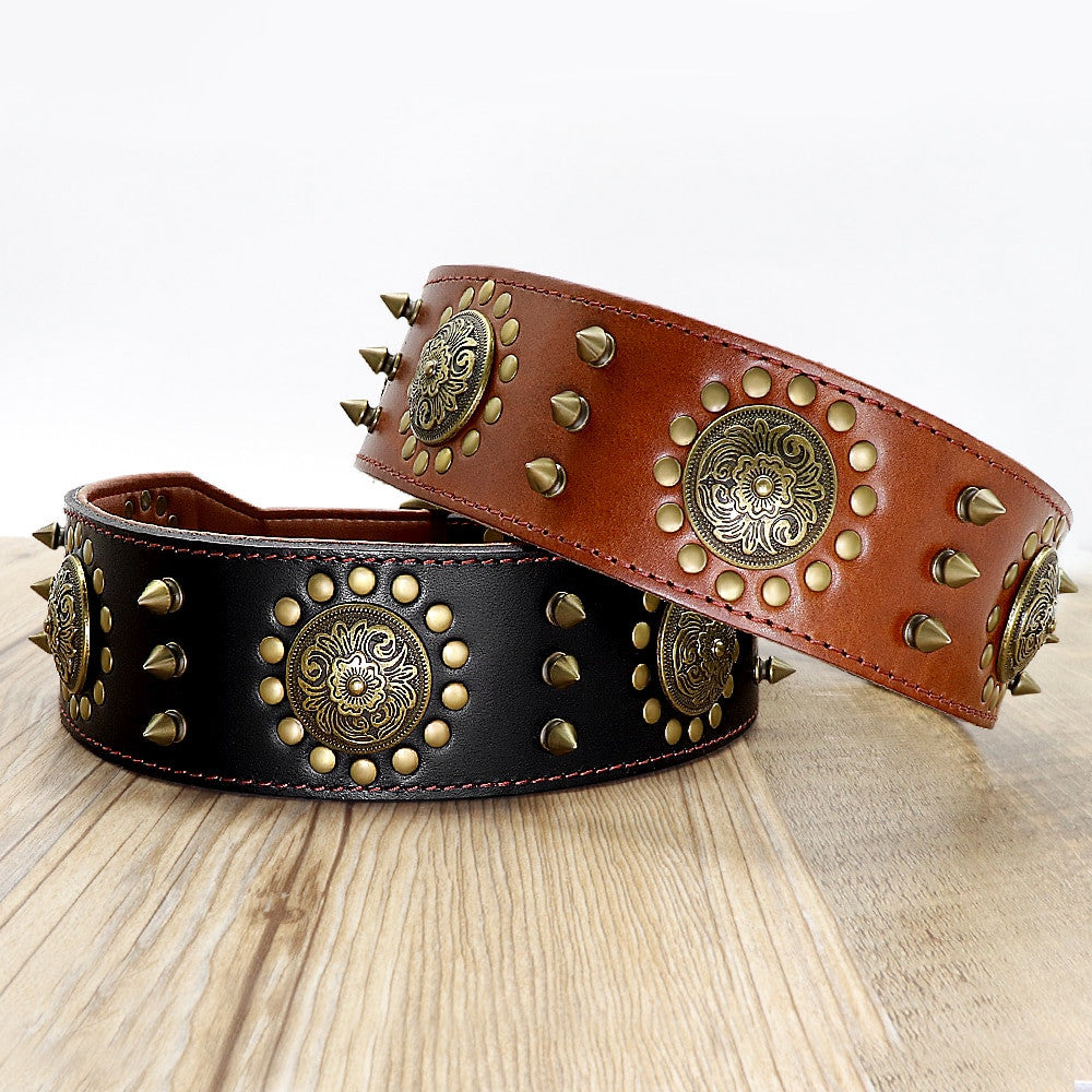 Two leather dog collars with brass studs and medallions on a wooden surface.