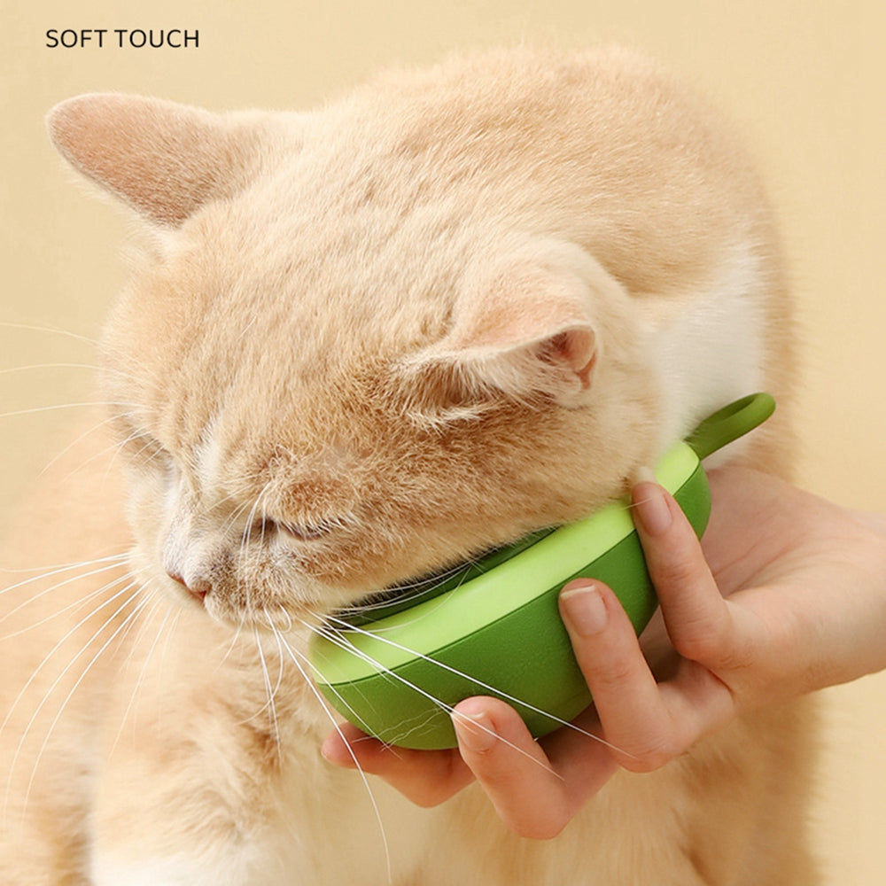 Cat interacting with a green pet toy held by a hand against a beige background