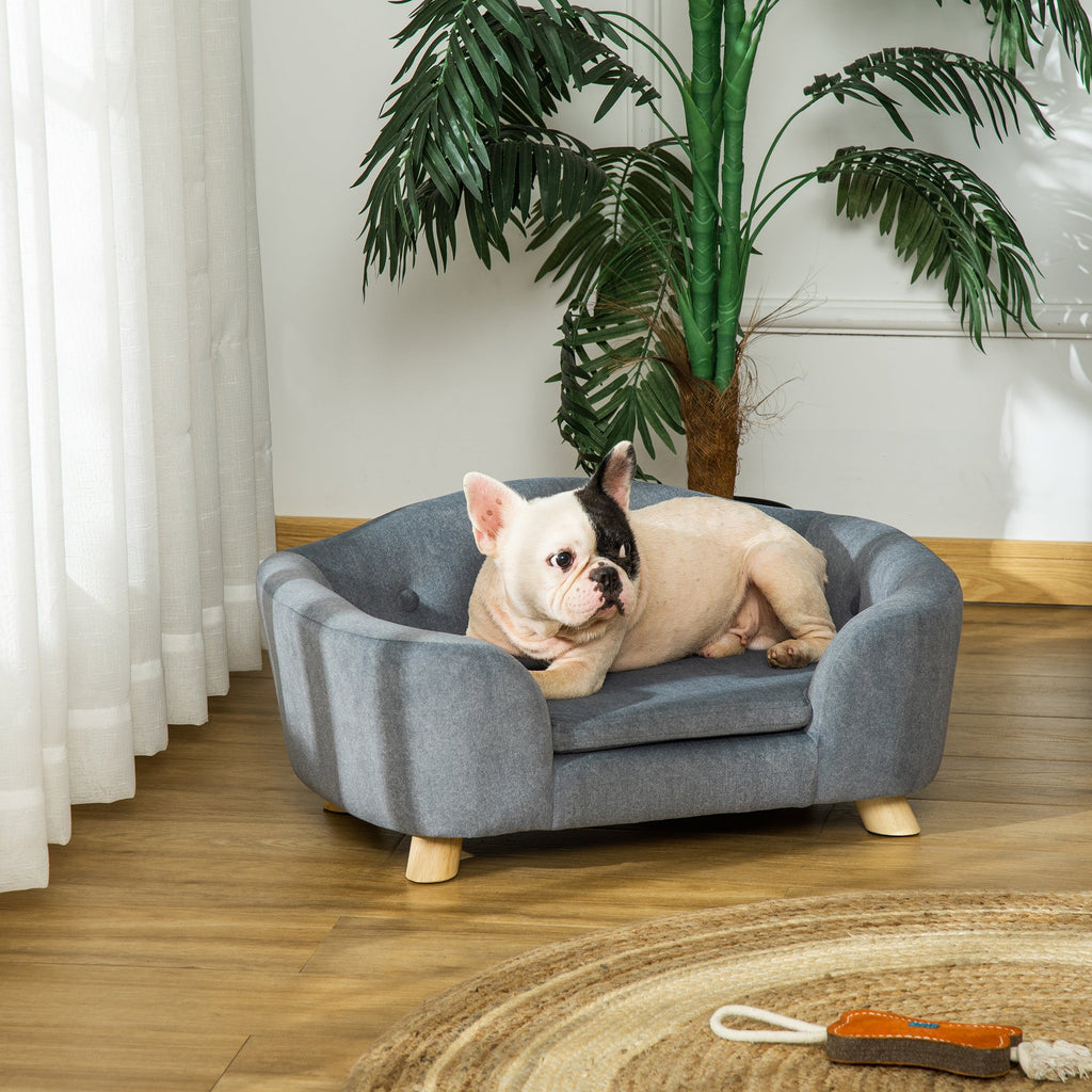 Dog lying on a gray pet bed in a room with plants and a rug.