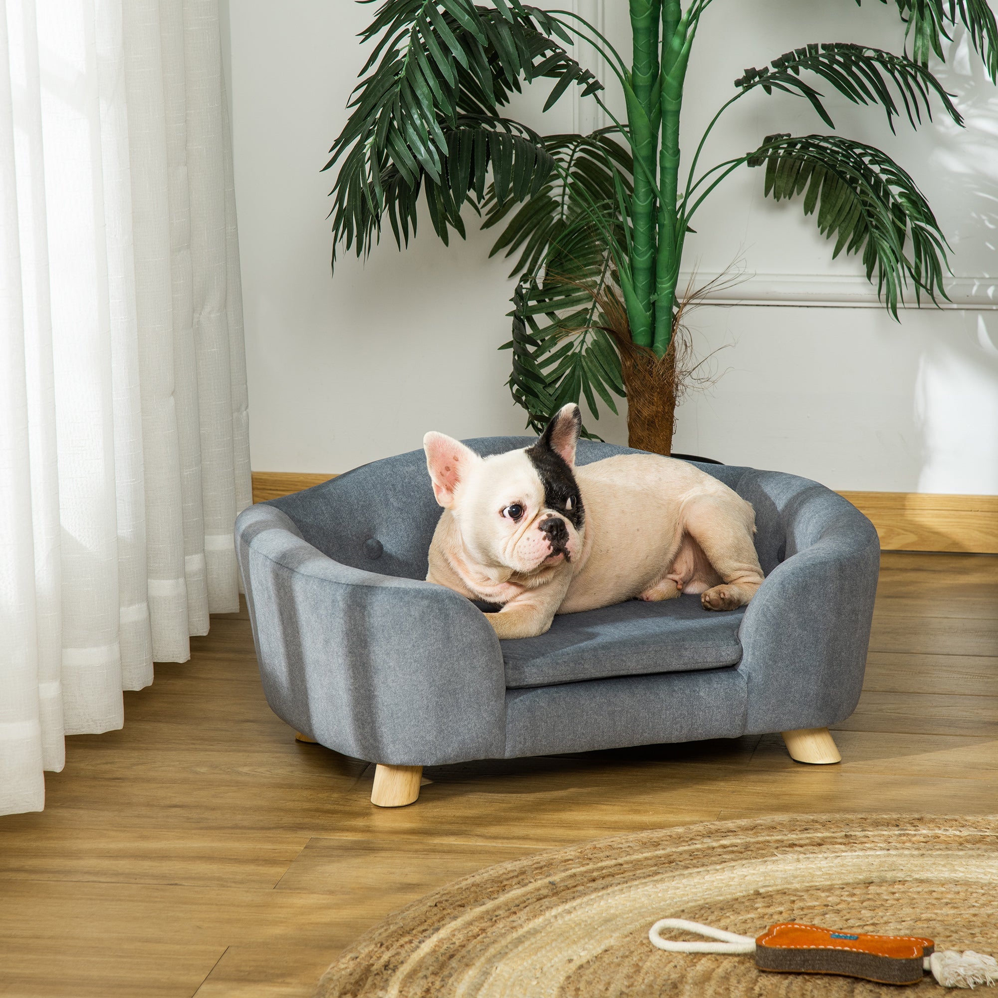 Dog lying on a gray pet bed in a room with plants and a rug.