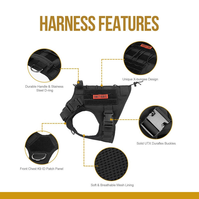 Dog harness with labeled features on a white background