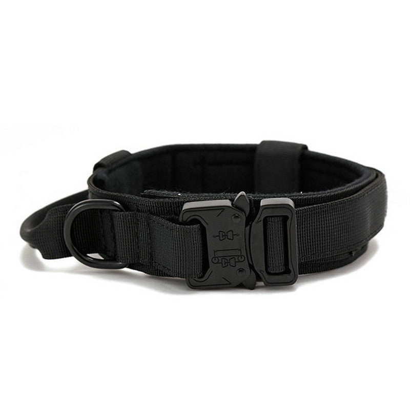 Black dog collar with a metal buckle on a white background