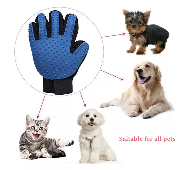Pet grooming gloves being used to brush a cat's fur

