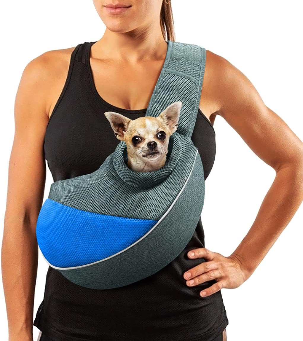 Person wearing a blue and gray pet sling with a small dog peeking out.