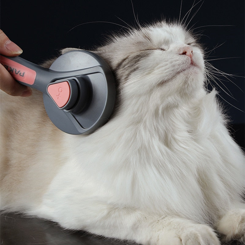 Cat being groomed with a pet grooming tool on a black background