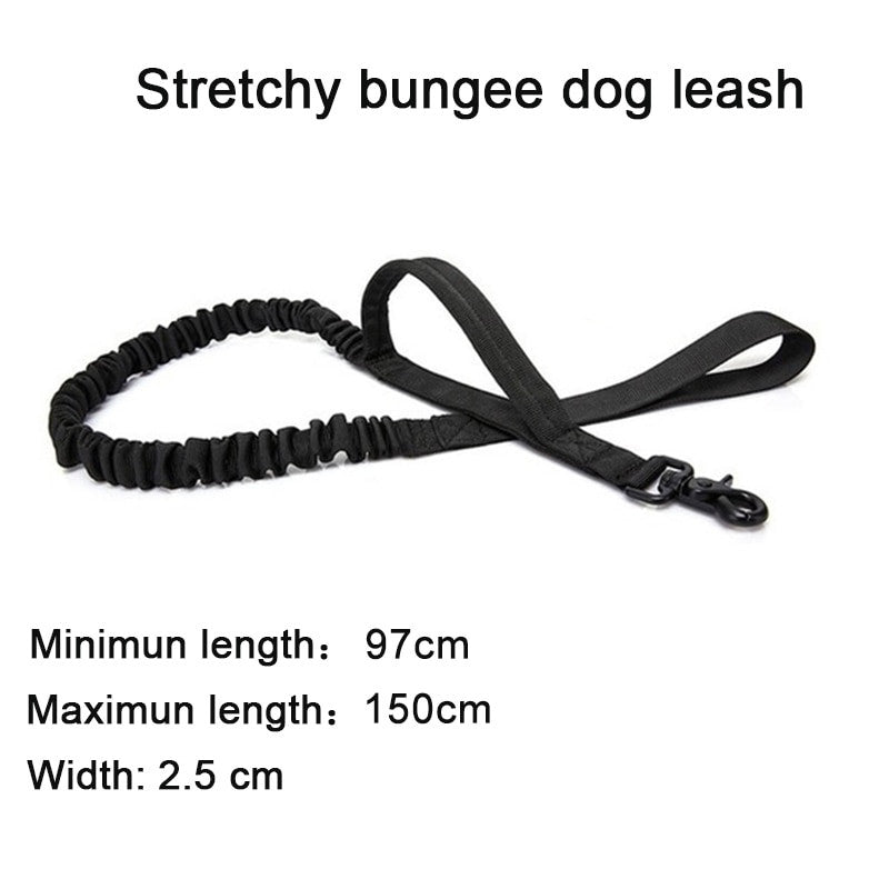 Black stretchy bungee dog leash on a white background with text displaying dimensions.