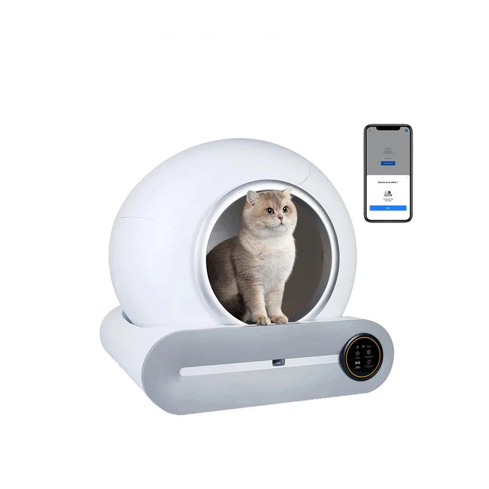 Pet sphere with a cat inside and a smartphone app displayed on a white background