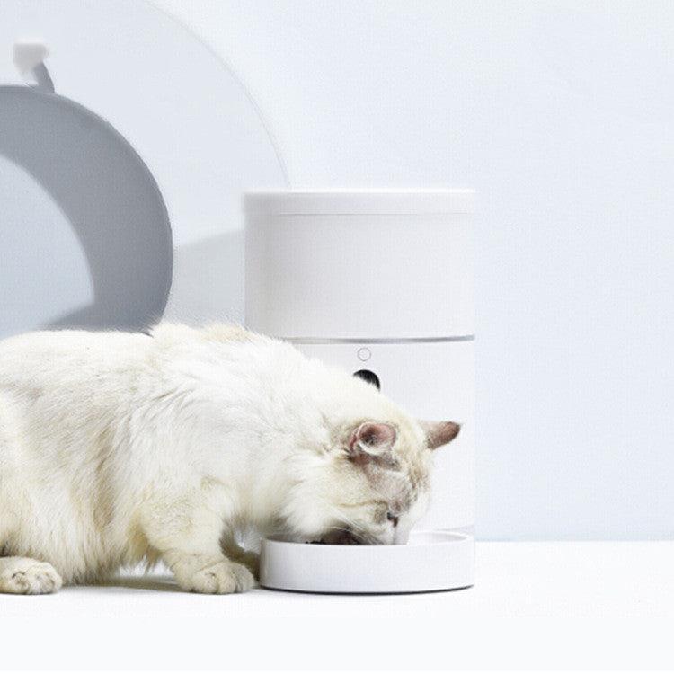 White cat eating from a white bowl on a light gray surface with a white background