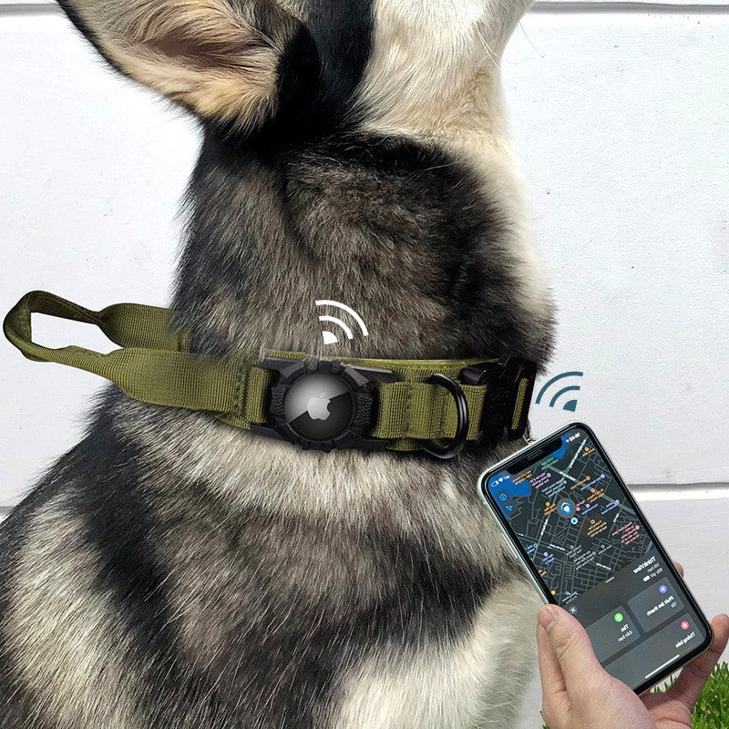 Dog wearing a green collar with a device, next to a person holding a smartphone with a tracking app.