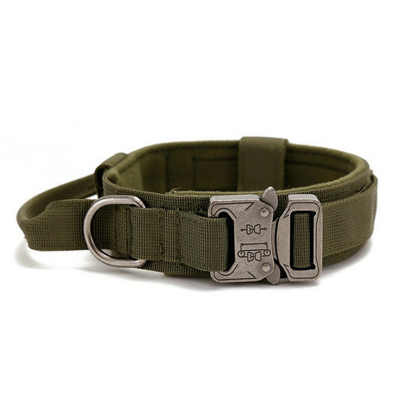 Green dog collar with a metal buckle on a white background