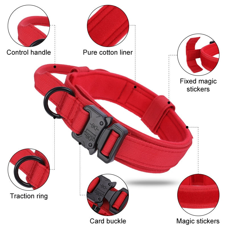 Red dog collar with various features highlighted on a white background