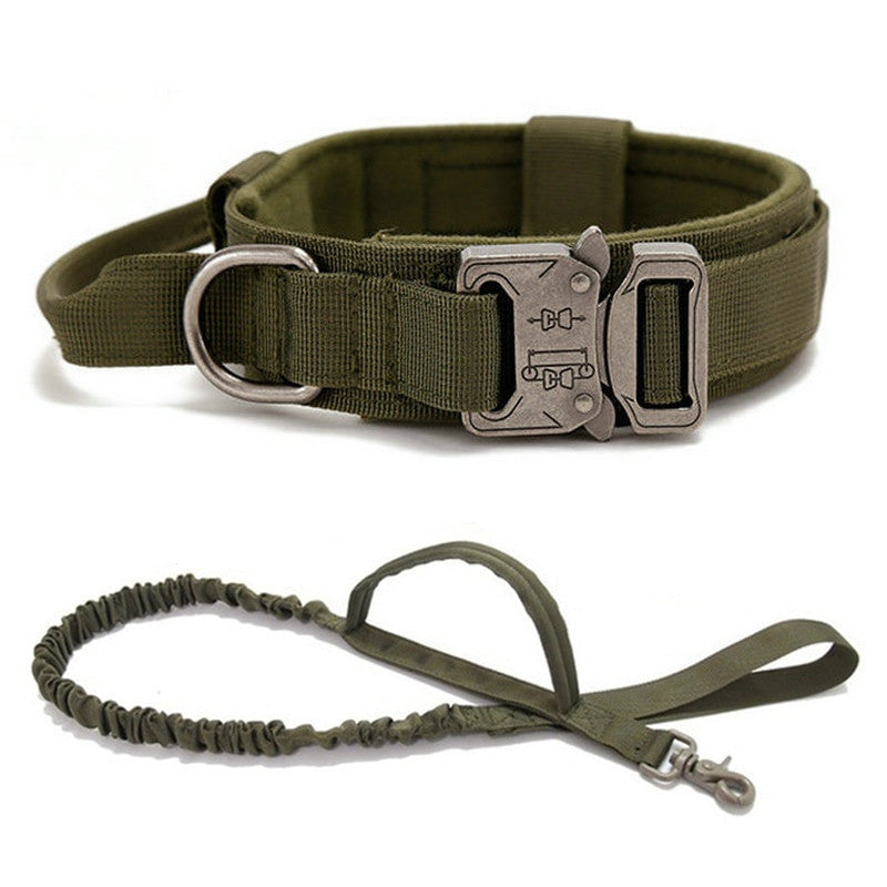 Green dog collar and leash set on a white background