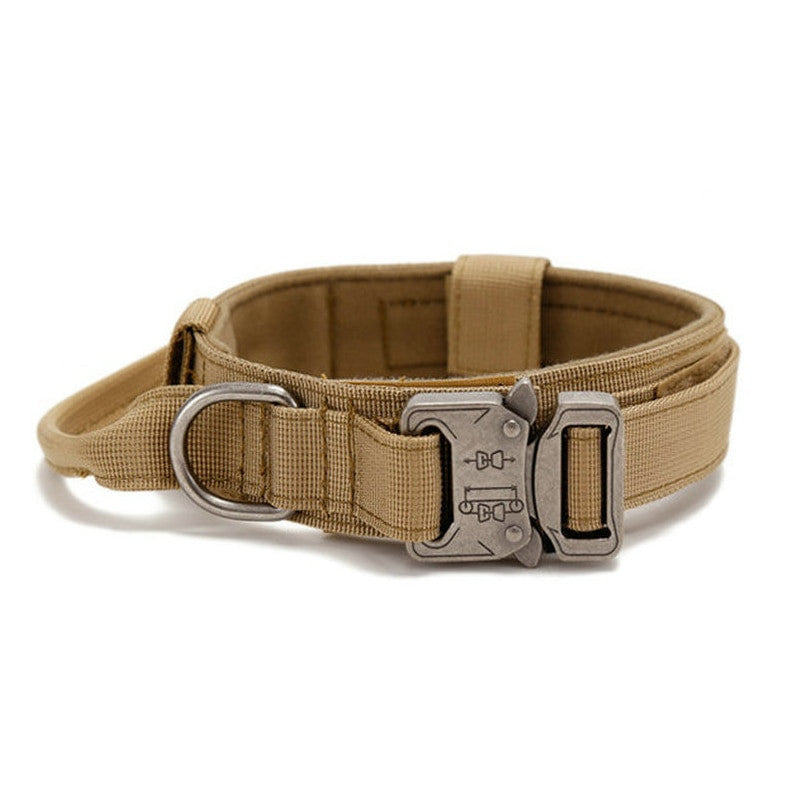 Tan dog collar with a metal buckle on a white background