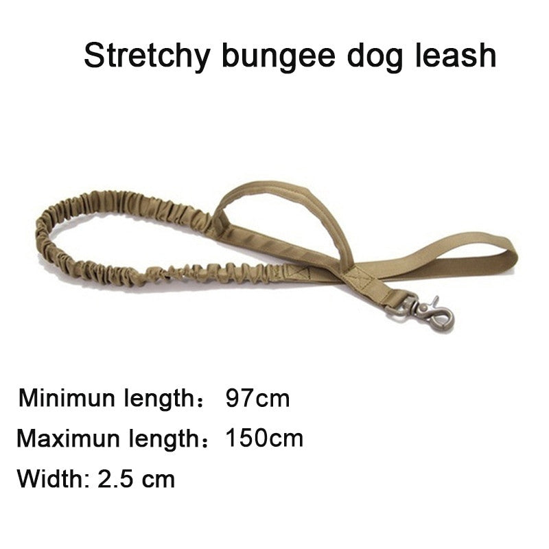 Stretchy bungee dog leash with measurement details on a white background