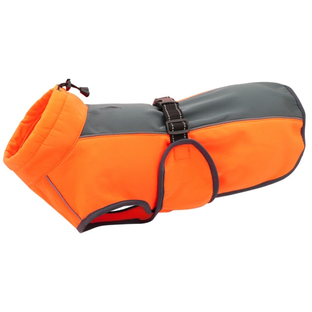 Orange and gray dog coat with a strap on a white background