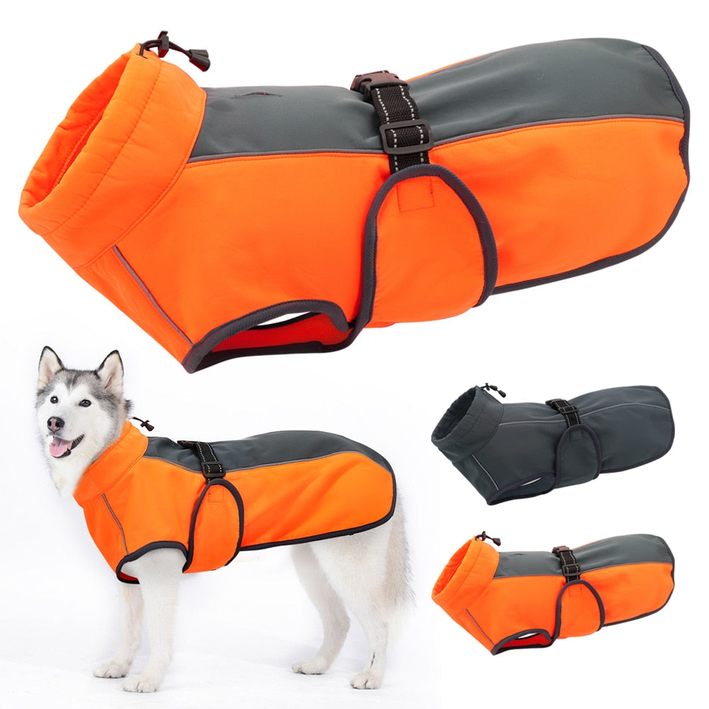 Orange and gray dog coat with a husky wearing it on a white background