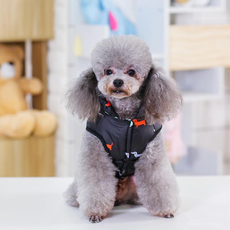 Small dog wearing a black harness with orange accents in an indoor setting