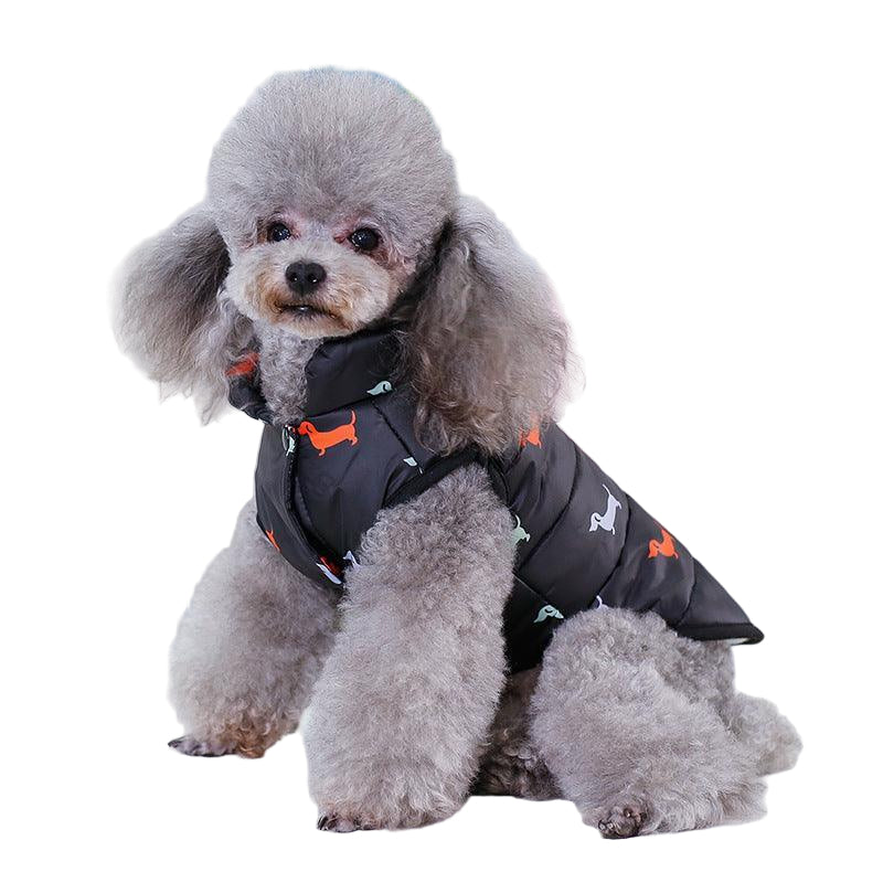 Small dog wearing a black puffer jacket with orange accents on a white surface.