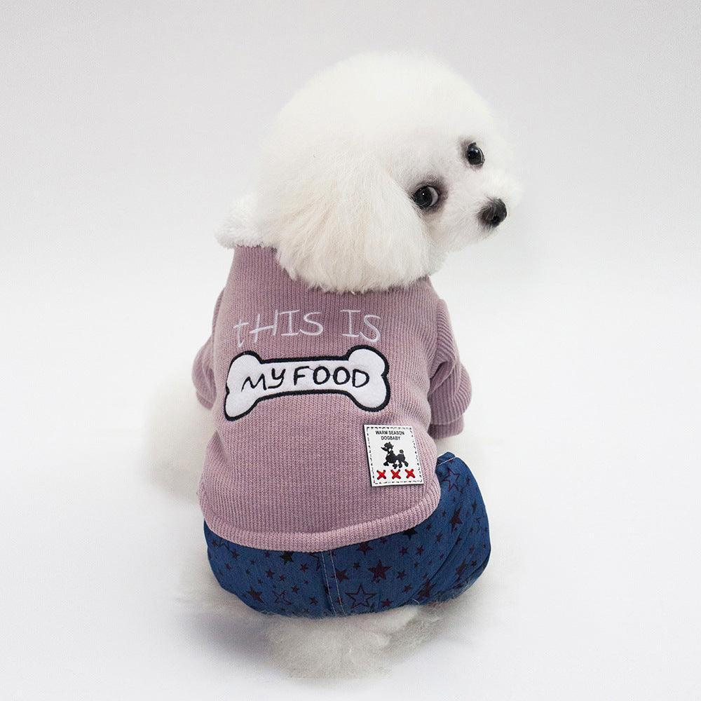 Small dog wearing a pink sweater with text and a blue diaper on a white background
