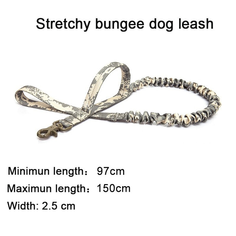 Stretchy bungee dog leash with measurement details on a white background