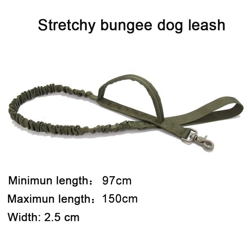 Green stretchy bungee dog leash with measurement details on a white background