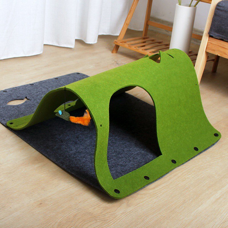 Green pet play structure on a blue mat in a room with wooden flooring and furniture.